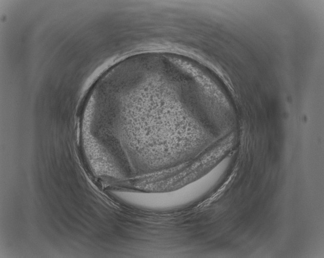 X0000081471509200702021819