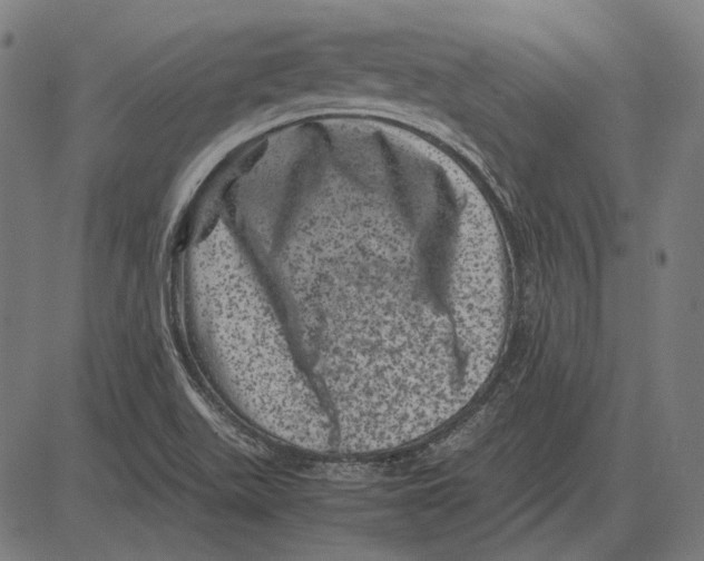 X0000081471511200702021819