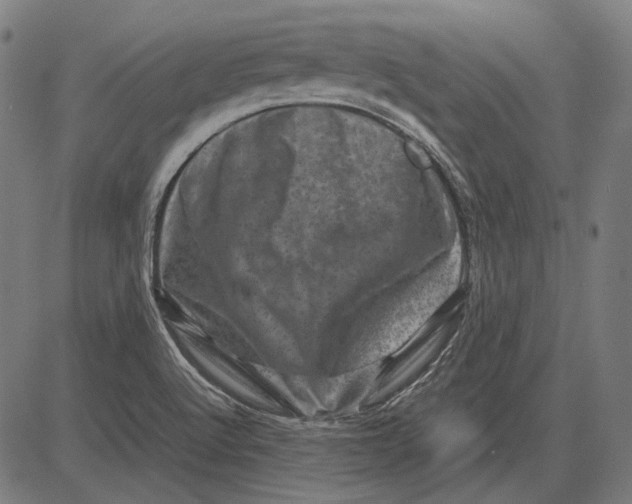 X0000081471512200702021819