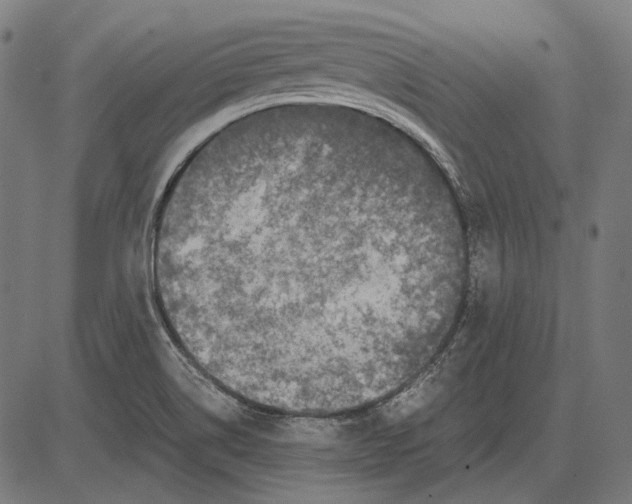 X0000081471514200702021819