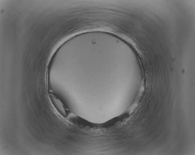 X0000081471516200702021819