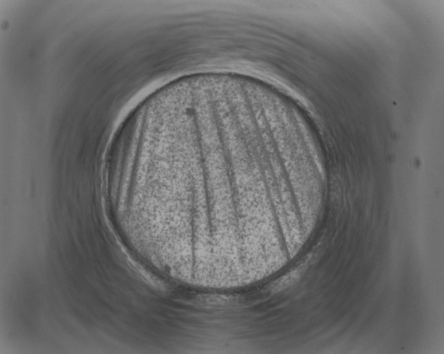 X0000081471517200702021819