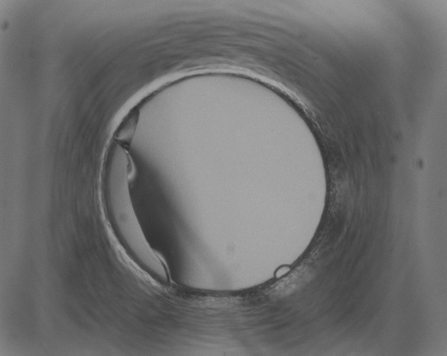 X0000081471518200702021819