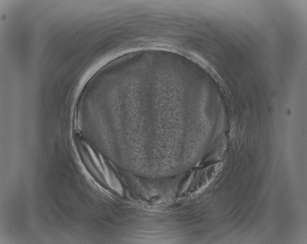 X0000081471520200702021819