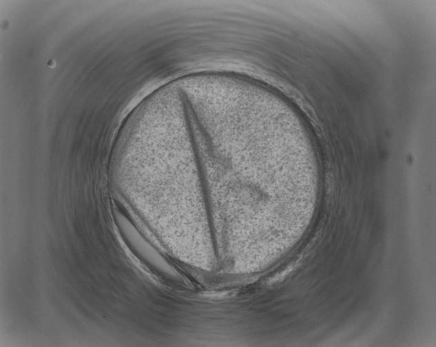 X0000081471521200702021819