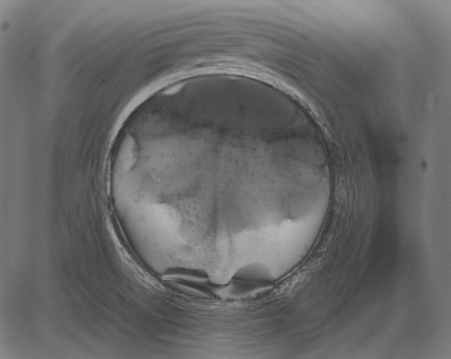 X0000081471522200702021819