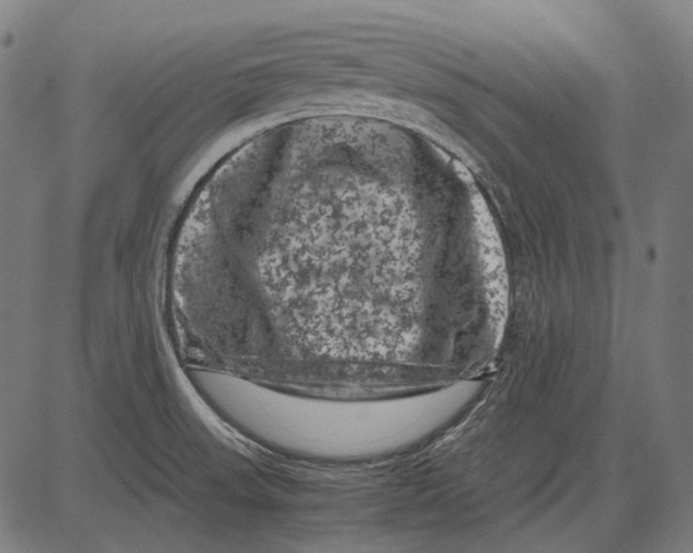 X0000081471523200702021819