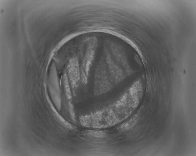 X0000081471525200702021819