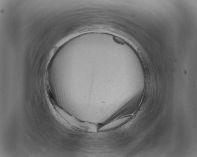 X0000081471526200702021820