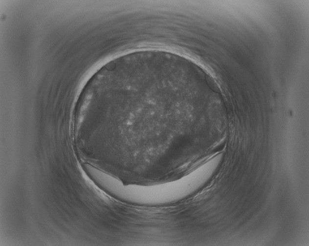 X0000081471527200702021820