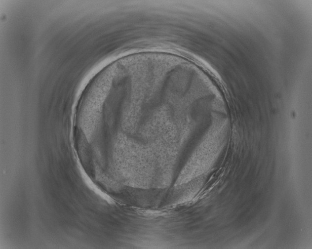 X0000081471528200702021820