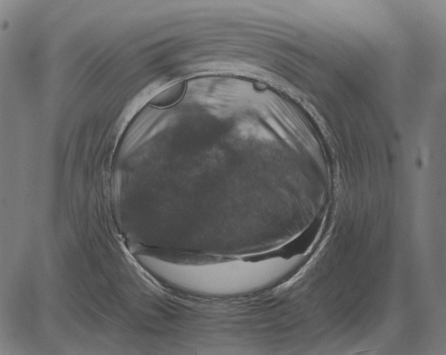 X0000081471529200702021820