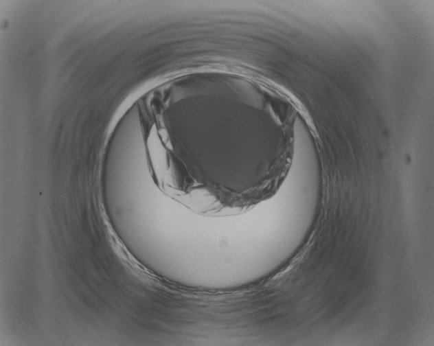 X0000081471530200702021820