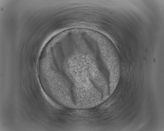 X0000081471531200702021820