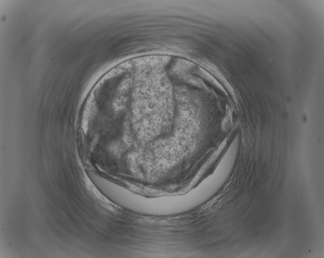 X0000081471532200702021820