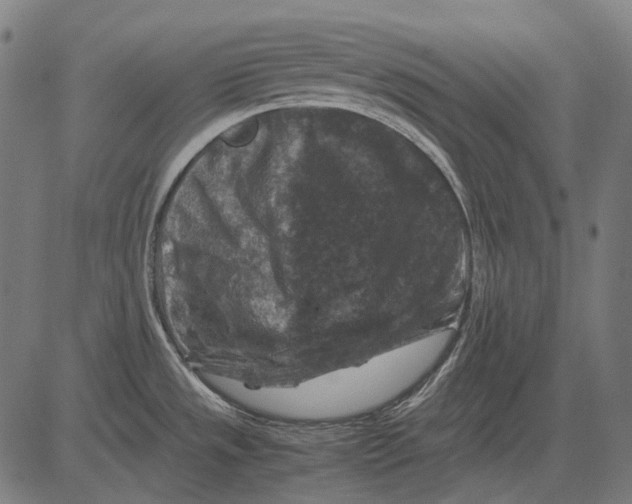 X0000081471533200702021820