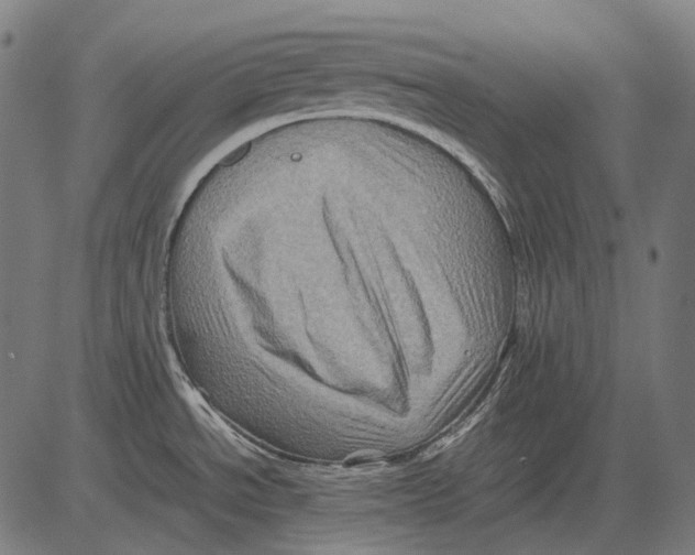 X0000081471534200702021820