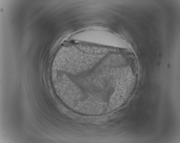 X0000081470001200702092351