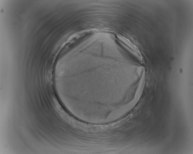 X0000081470002200702092351