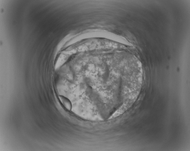 X0000081470003200702092351