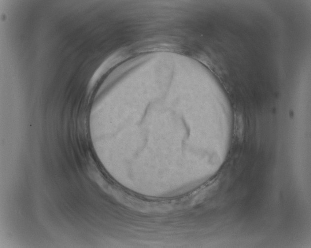 X0000081470004200702092351