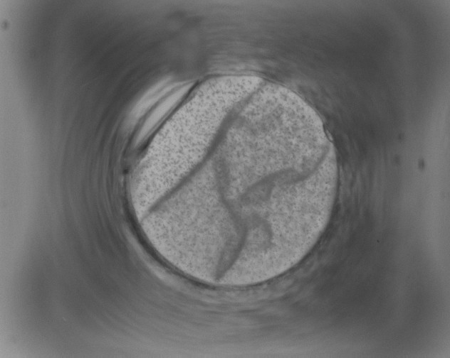 X0000081470005200702092351