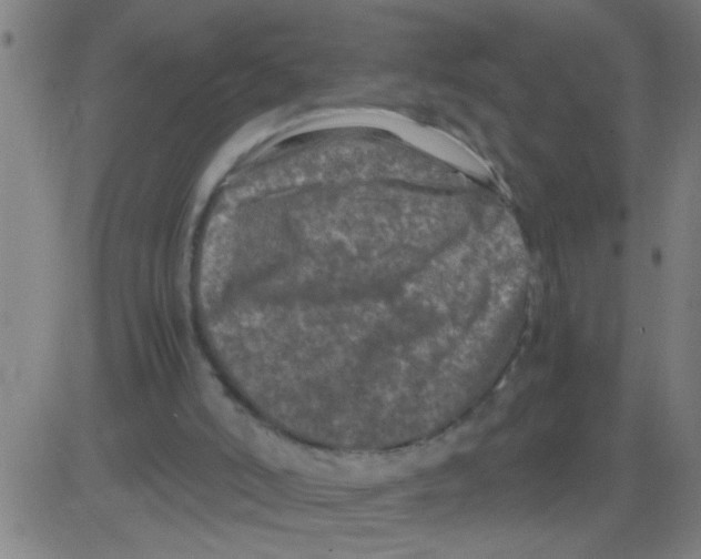 X0000081470006200702092351