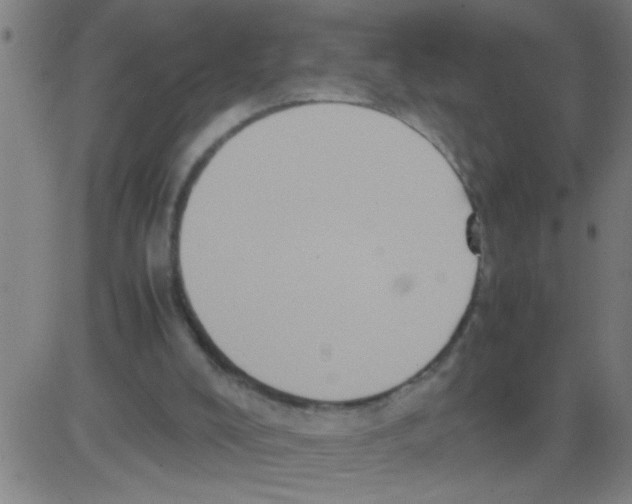 X0000081470008200702092351