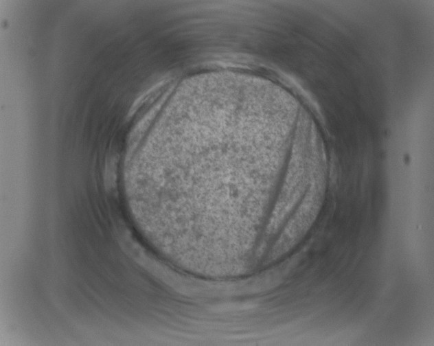 X0000081470010200702092351