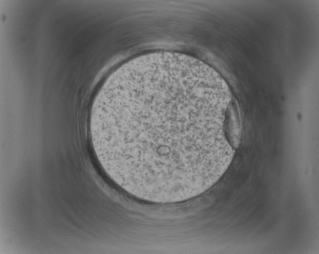 X0000081470011200702092351