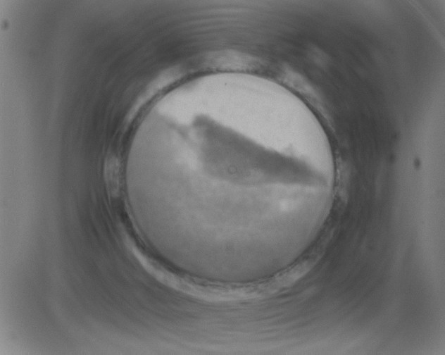 X0000081470012200702092351