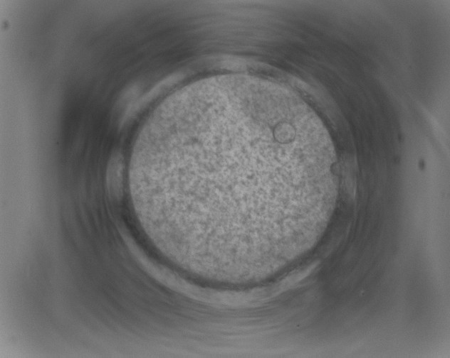 X0000081470016200702092351