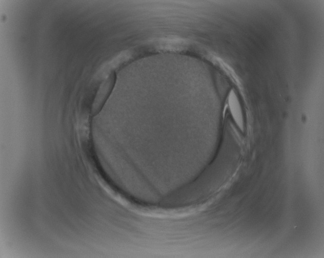 X0000081470017200702092351