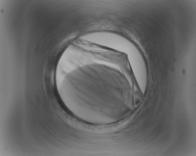 X0000081470019200702092351