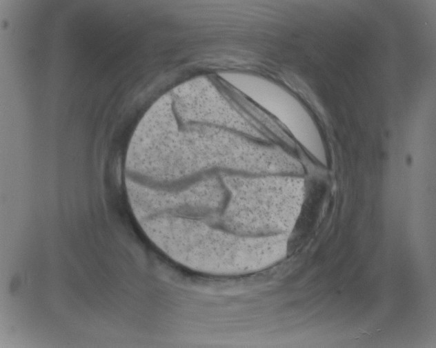 X0000081470021200702092351