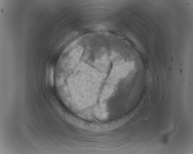 X0000081470022200702092351