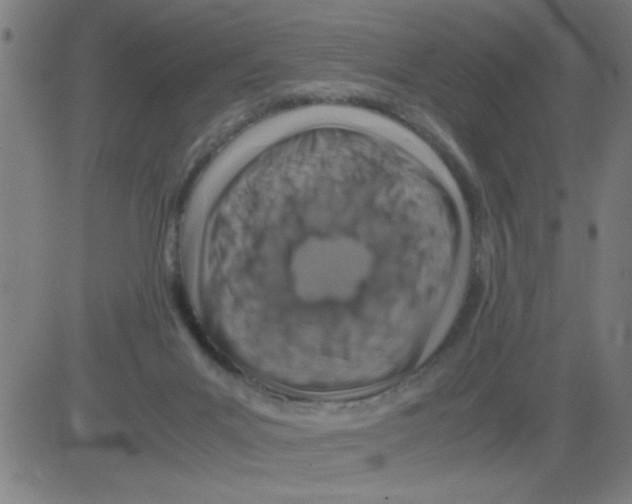 X0000081470023200702092351