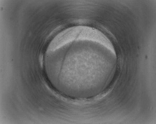 X0000081470024200702092351