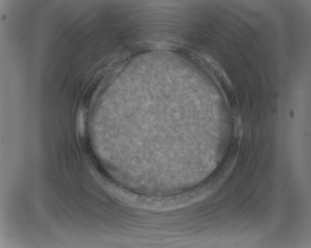 X0000081470026200702092351