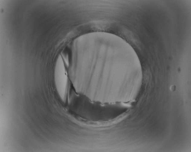 X0000081470027200702092351