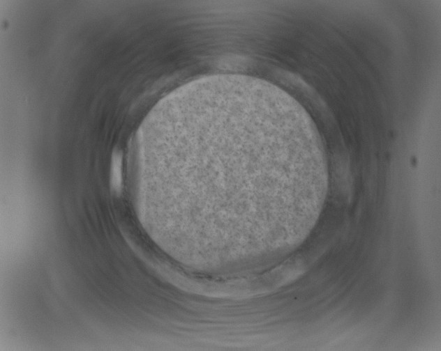 X0000081470028200702092351