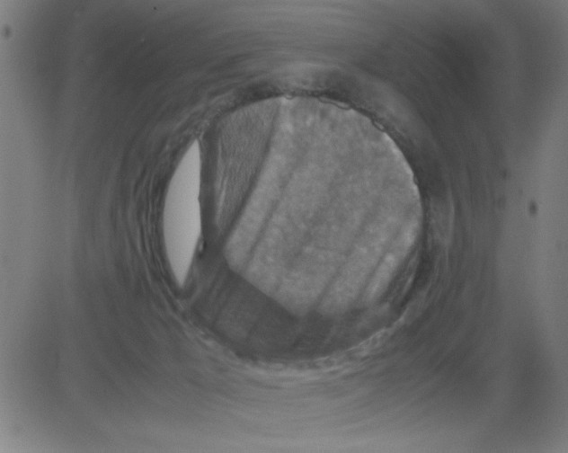 X0000081470029200702092351