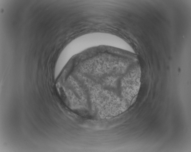 X0000081470033200702092351