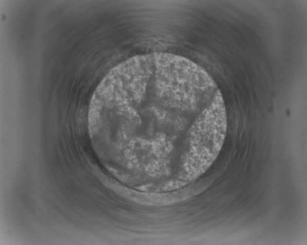 X0000081470034200702092351