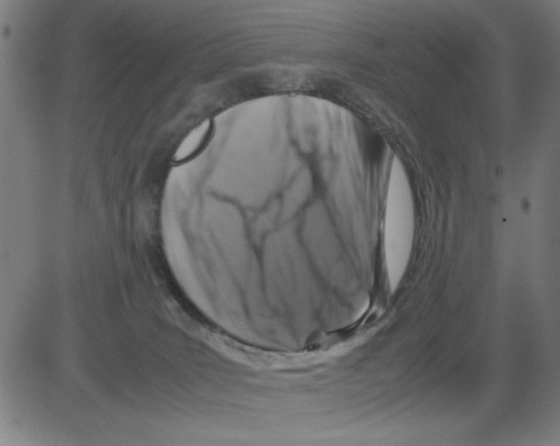 X0000081470035200702092351