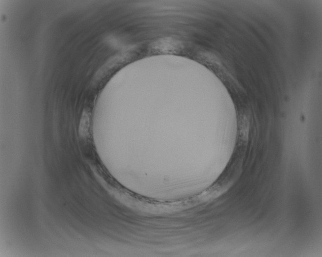 X0000081470036200702092351