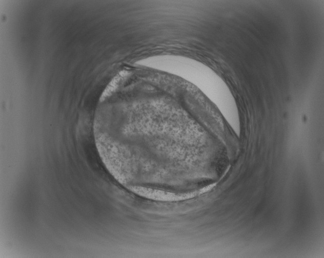 X0000081470037200702092351