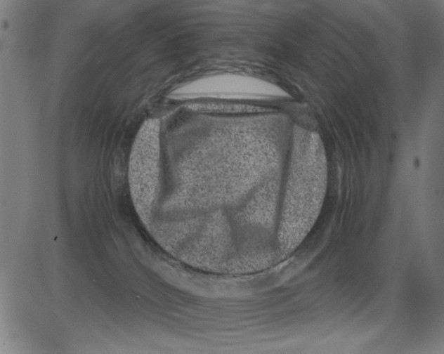 X0000081470040200702092351