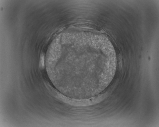 X0000081470042200702092351