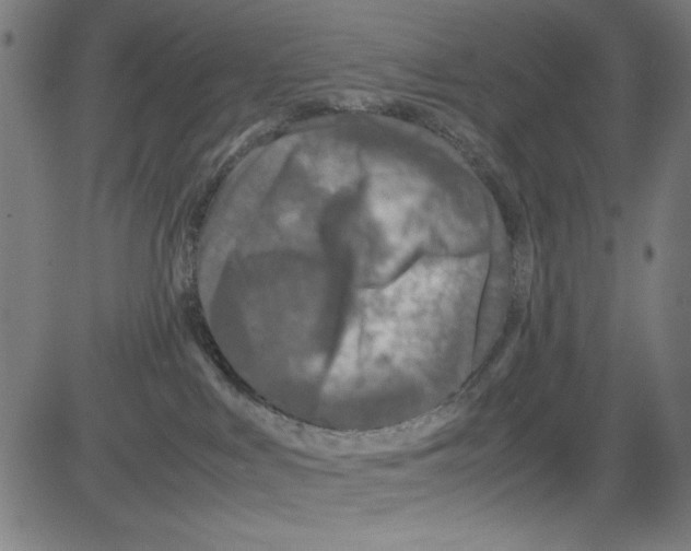 X0000081470043200702092351